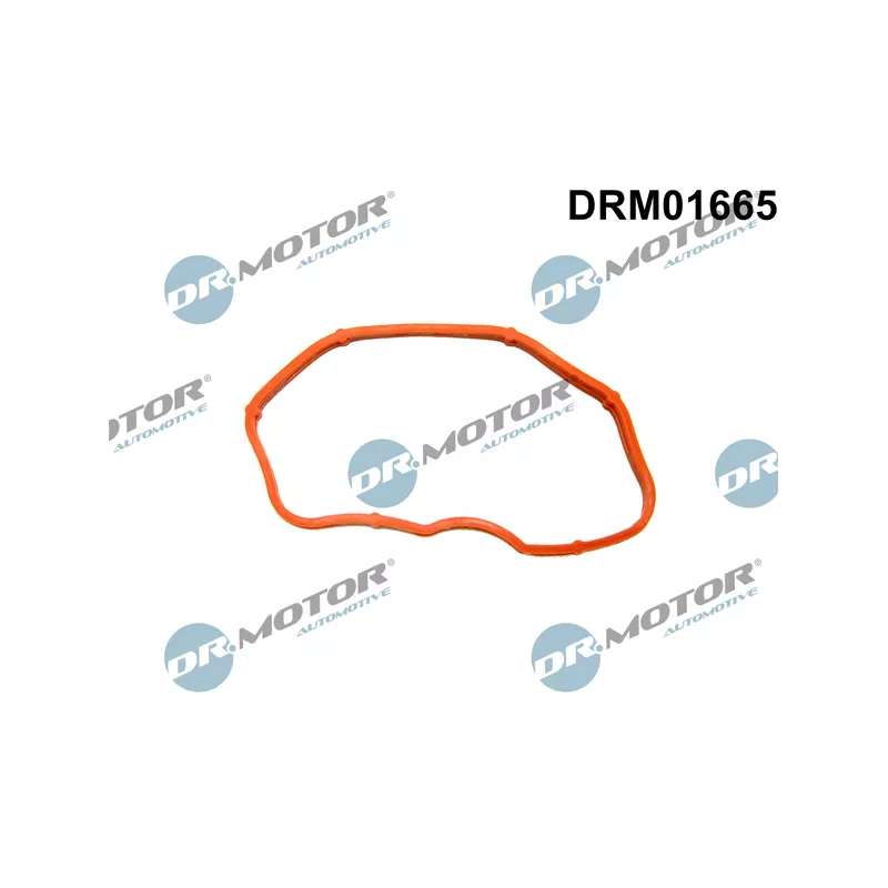 Joint d'étanchéité, collecteur d'admission Dr.Motor DRM01665