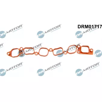 Joint d'étanchéité, collecteur d'admission Dr.Motor DRM01717