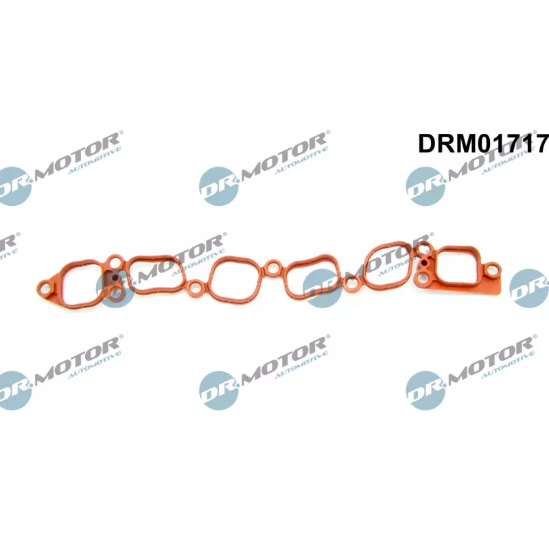 Joint d'étanchéité, collecteur d'admission Dr.Motor DRM01717