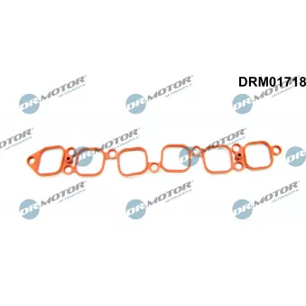 Joint d'étanchéité, collecteur d'admission Dr.Motor DRM01718