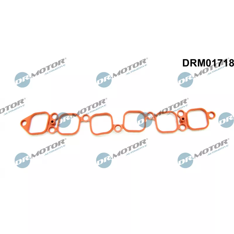 Joint d'étanchéité, collecteur d'admission Dr.Motor DRM01718