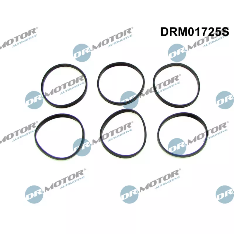 Jeu de joints d'étanchéité, collecteur d'admission Dr.Motor DRM01725S