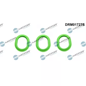 Jeu de joints d'étanchéité, collecteur d'admission Dr.Motor DRM01727S