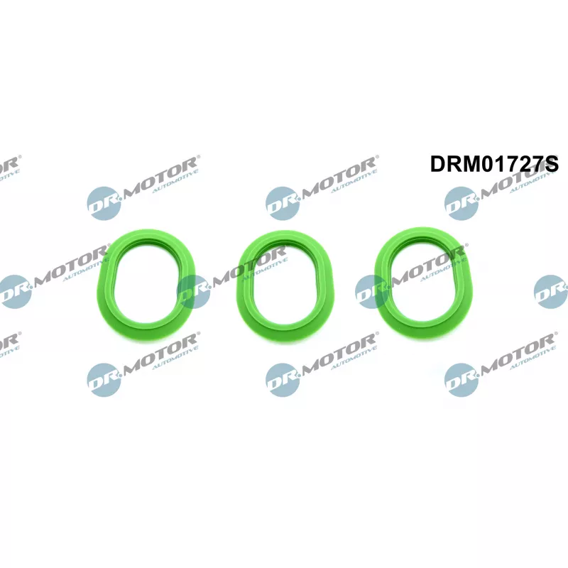 Jeu de joints d'étanchéité, collecteur d'admission Dr.Motor DRM01727S