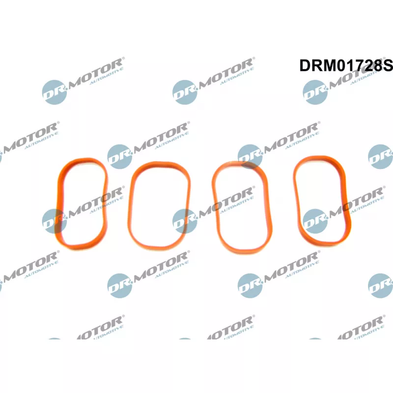 Jeu de joints d'étanchéité, collecteur d'admission Dr.Motor DRM01728S