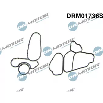 Kit de joints, radiateur d'huile Dr.Motor DRM01736S