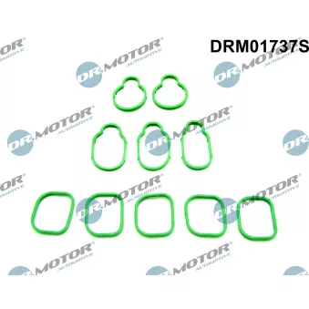 Jeu de joints d'étanchéité, collecteur d'admission Dr.Motor DRM01737S