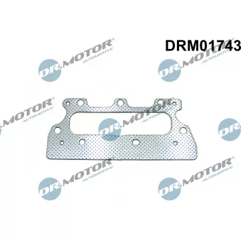 Joint d'étanchéité, collecteur d'échappement Dr.Motor DRM01743