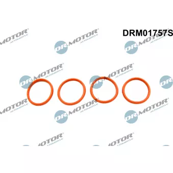 Jeu de joints d'étanchéité, collecteur d'admission Dr.Motor DRM01757S