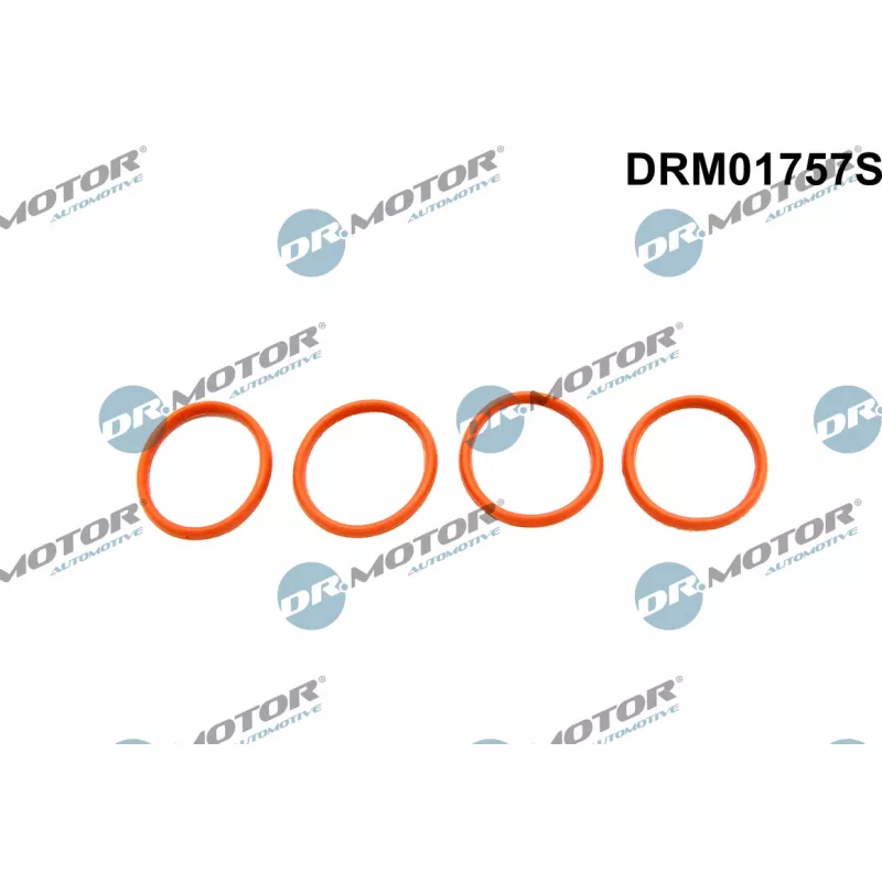Jeu de joints d'étanchéité, collecteur d'admission Dr.Motor DRM01757S