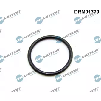 Joint d'étanchéité, collecteur d'admission Dr.Motor DRM01770