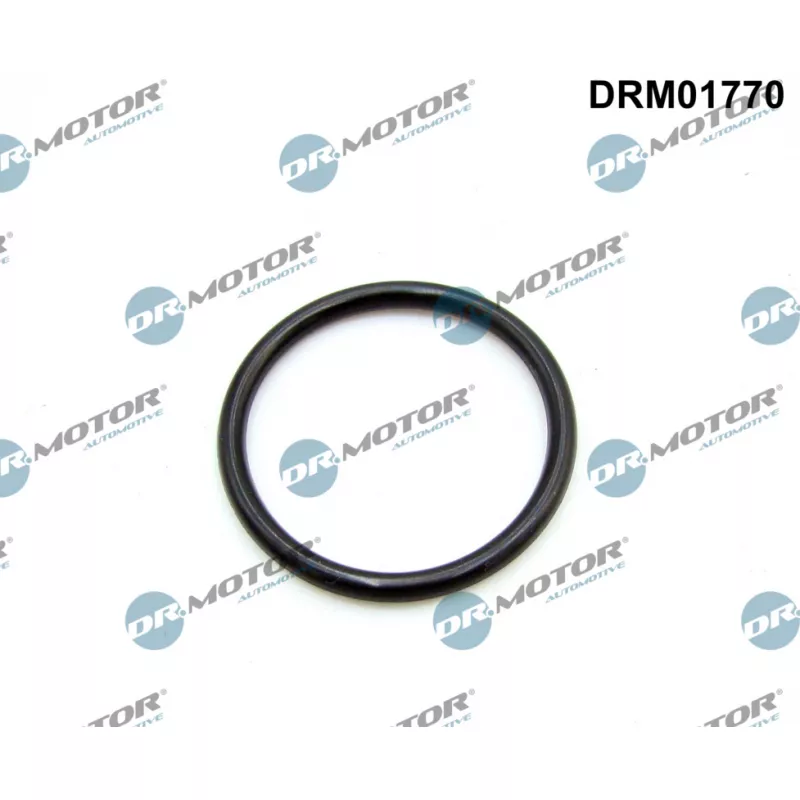 Joint d'étanchéité, collecteur d'admission Dr.Motor DRM01770