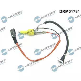 Unité d'injection, régénération du filtre à particules Dr.Motor DRM01781