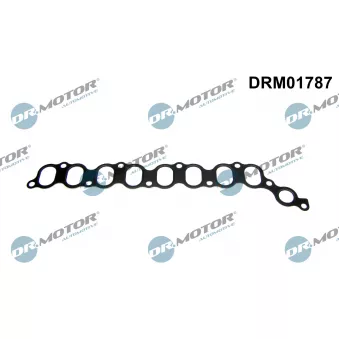 Joint d'étanchéité, collecteur d'admission Dr.Motor DRM01787