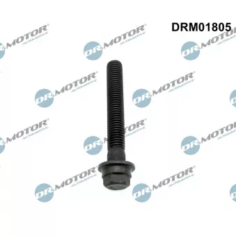 Vis de poulie Dr.Motor DRM01805