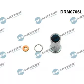 Kit de réparation, injecteur Dr.Motor DRM0706L