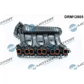 Module de tube d'admission Dr.Motor DRM12805