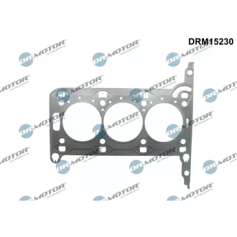 Joint d'étanchéité, culasse Dr.Motor DRM15230