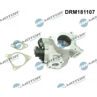 Vanne EGR Dr.Motor DRM181107
