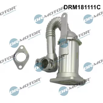 Radiateur, réaspiration des gaz d'échappement Dr.Motor DRM181111C