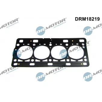 Joint d'étanchéité, culasse Dr.Motor DRM18219