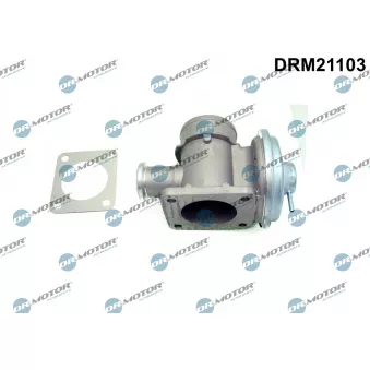 Vanne EGR Dr.Motor DRM21103