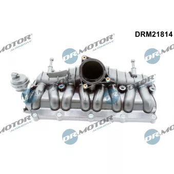 Module de tube d'admission Dr.Motor DRM21814
