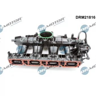 Module de tube d'admission Dr.Motor DRM21816
