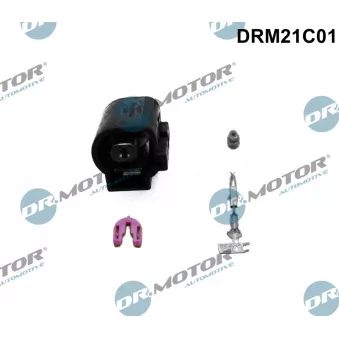 Fiche Dr.Motor DRM21C01
