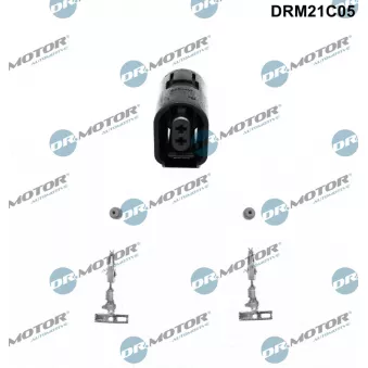 Fiche Dr.Motor DRM21C05
