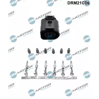 Fiche Dr.Motor DRM21C06