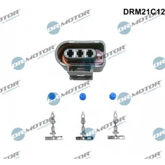 Fiche Dr.Motor DRM21C12
