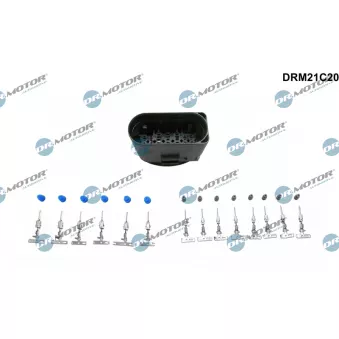 Fiche Dr.Motor DRM21C20