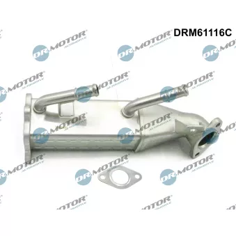 Radiateur, réaspiration des gaz d'échappement Dr.Motor DRM61116C