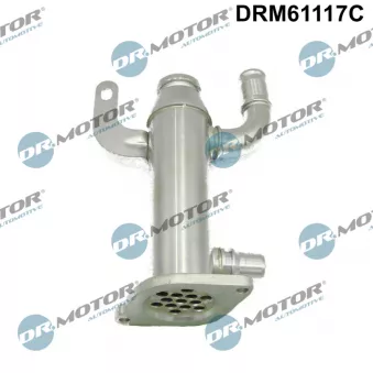 Radiateur, réaspiration des gaz d'échappement Dr.Motor DRM61117C