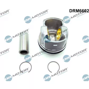 Partie du moteur Dr.Motor DRM6602