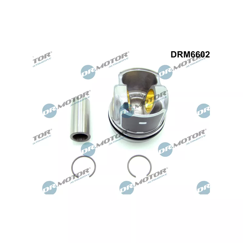 Partie du moteur Dr.Motor DRM6602