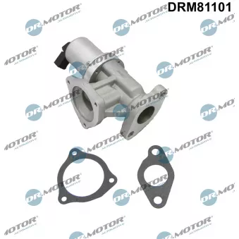 Vanne EGR Dr.Motor DRM81101