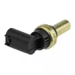 Sonde de température, liquide de refroidissement TEKNÖR ECT-PL-010 - Visuel 2