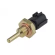 Sonde de température, liquide de refroidissement TEKNÖR ECT-RE-003 - Visuel 1