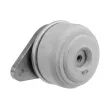 Support moteur TEKNÖR ZPS-ME-035 - Visuel 2
