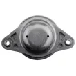 Support moteur TEKNÖR ZPS-ME-035 - Visuel 3