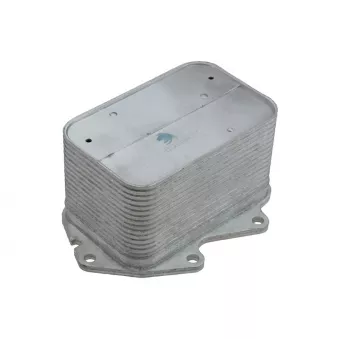 Radiateur d'huile TEKNÖR CCL-BM-071