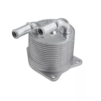 Radiateur d'huile TEKNÖR CCL-PE-003