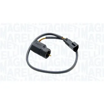 Capteur d'angle, vilebrequin MAGNETI MARELLI 064848175010