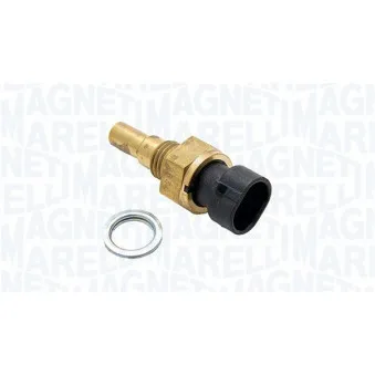 Sonde de température, liquide de refroidissement MAGNETI MARELLI 171916011150