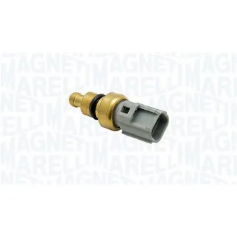 Sonde de température, liquide de refroidissement MAGNETI MARELLI 171916011530