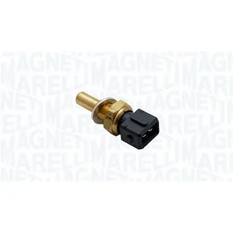 Capteur, température d'huile MAGNETI MARELLI 171916911150