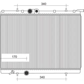 Radiateur, refroidissement du moteur MAGNETI MARELLI 350213872000