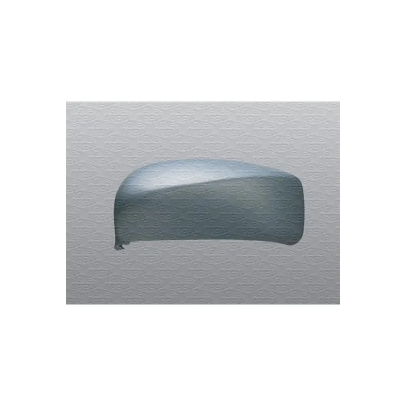 Revêtement, rétroviseur extérieur MAGNETI MARELLI 350319520570